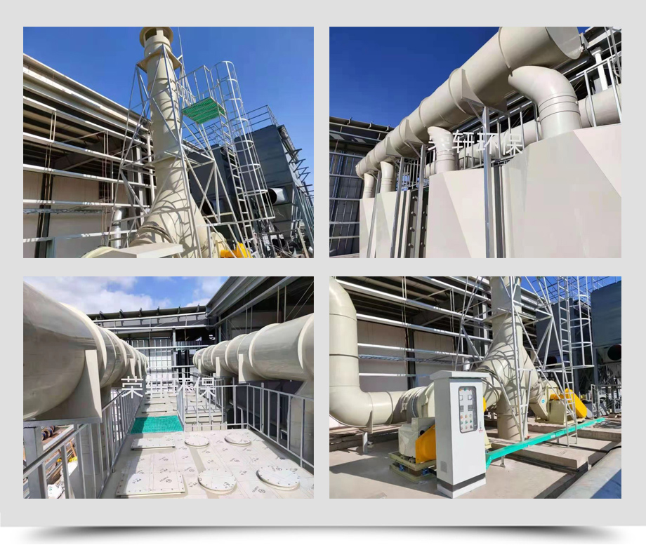 隆基2.jpg 隆基2.jpg